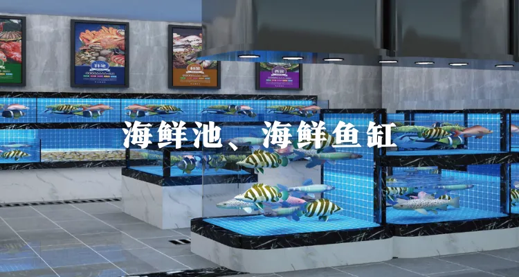 海鲜池、海鲜鱼缸