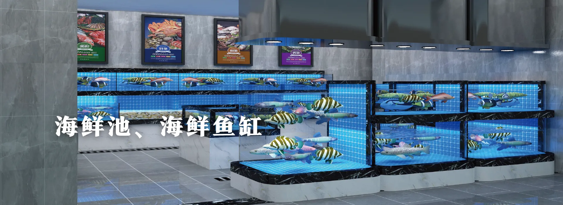 海鲜池、海鲜鱼缸