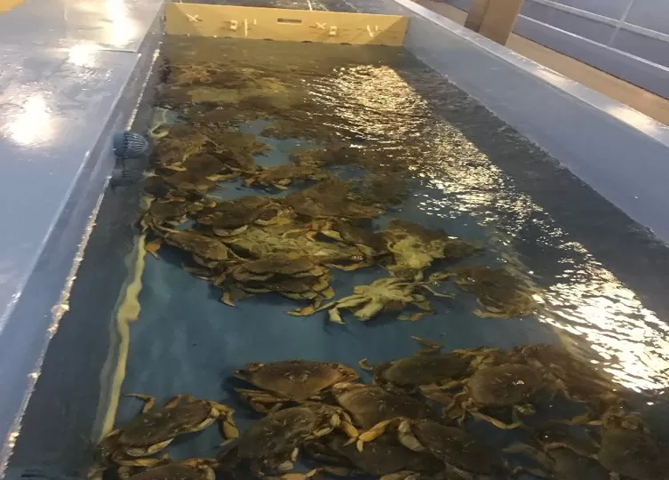 盒马上海暂养中心项目设备一期简介#3